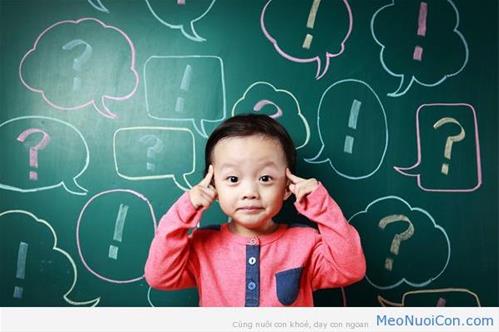 Gợi ý một số bài tập luyện trí nhớ HIỆU QUẢ cho bé 2-3 tuổi